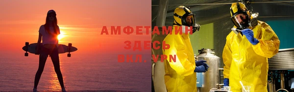 ПСИЛОЦИБИНОВЫЕ ГРИБЫ Балабаново