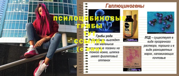 ПСИЛОЦИБИНОВЫЕ ГРИБЫ Балабаново