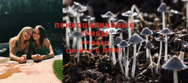 ПСИЛОЦИБИНОВЫЕ ГРИБЫ Балабаново