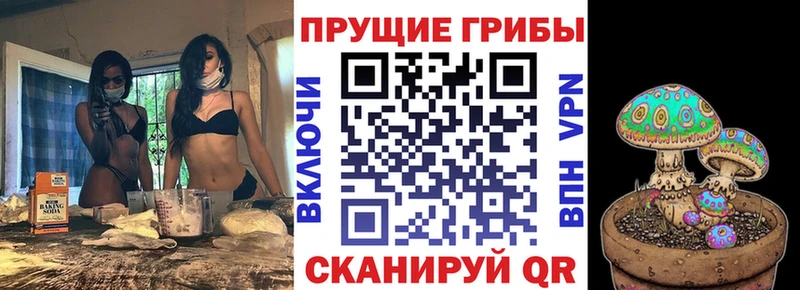 Псилоцибиновые грибы MAGIC MUSHROOMS  Луза 